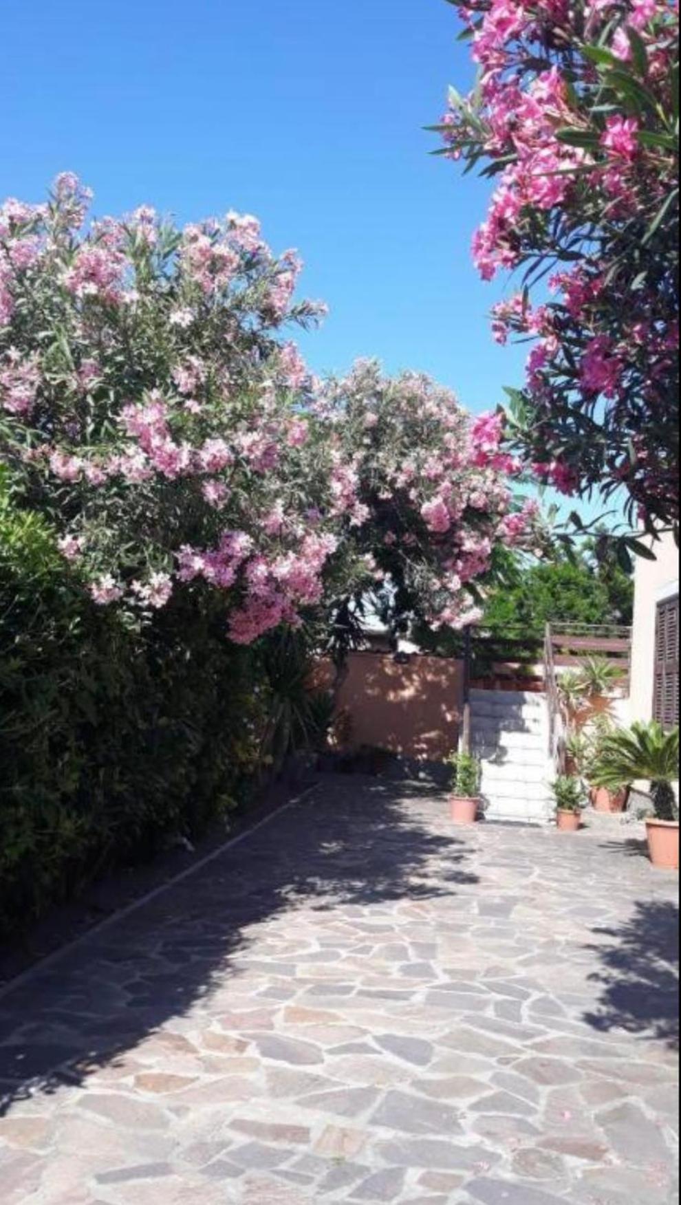 Bed and Breakfast Giorgia Airport 2 Fiumicino Exterior foto